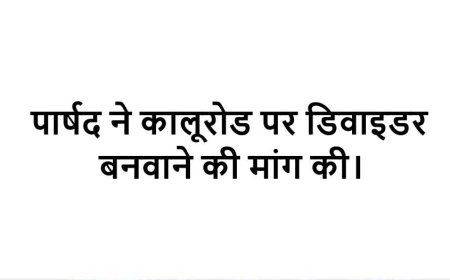 पार्षद ने कालूरोड पर डिवाइडर बनवाने की मांग की।