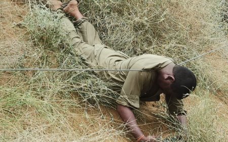 22 घंटो से हाईटेंशन तारो पर झूल रहा युवक का शव, प्रशासन बना संवेदनाविहीन, ग्रामीणों में रोष.....