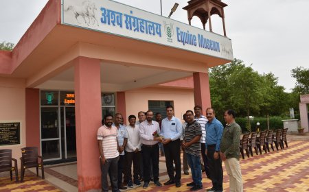 माँ के नाम लगाएं एक पर्यावरण प्रहरी  : डॉ. मेहता