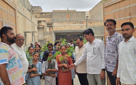 31 हजार पौधे लगाने का लक्ष्य, अब तक 13 हजार से ज्यादा पौधे वितरण– मोहन सुराणा