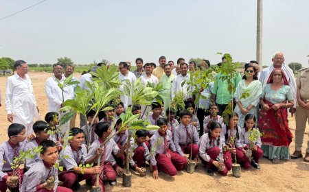 हरियालो राजस्थान-एक पेड मां के नाम बीकानेर देहात भाजपा ने एक दिन में लगाए हजारों पेड़ 