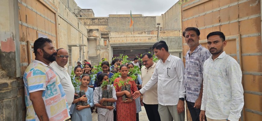 31 हजार पौधे लगाने का लक्ष्य, अब तक 13 हजार से ज्यादा पौधे वितरण– मोहन सुराणा