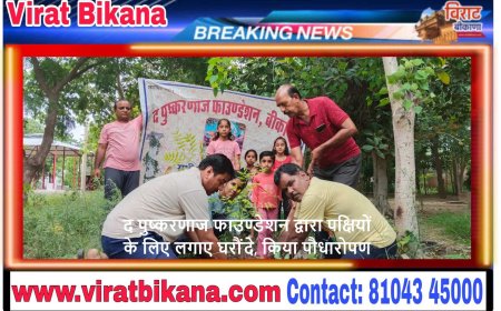 द पुष्करणाज फाउण्डेशन द्वारा पक्षियों के लिए लगाए घरौंदे, किया पौधारोपण
